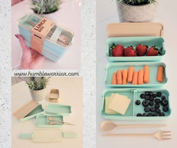 Wheat Straw Bento Box Lunch Boxes