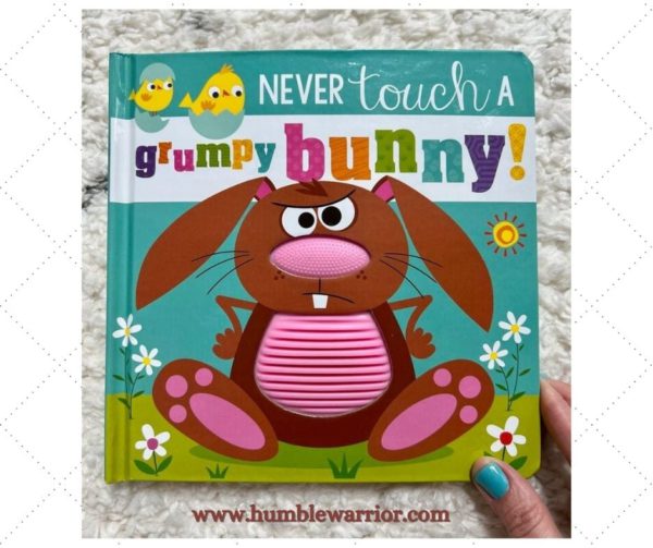 Book Never Touch a Grumpy Bunny