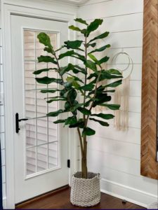 faux fiddle leaf tree by Valerie Parr Hill 09 07 22