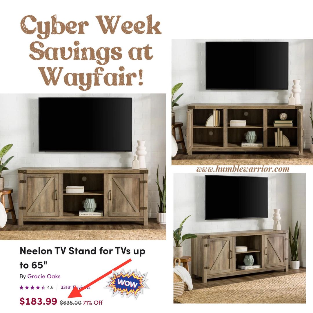 FANTASTIC TV STAND STORAGE UNIT! Home of The Humble Warrior