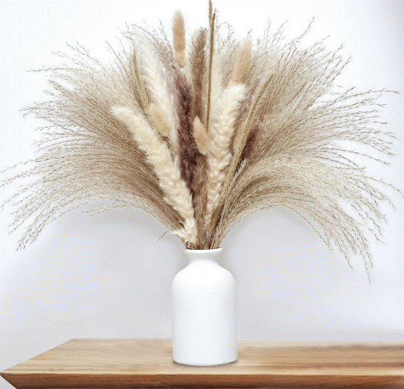 Natural Dried Pampas Grass Pack! - Home of The Humble Warrior