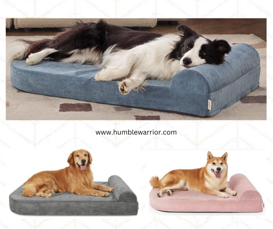 Lesure Orthopedic Memory Foam Dog Bed! - Home Of The Humble Warrior