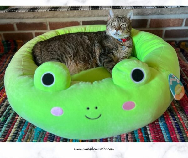 Squishmallow Pet Bed Home Of The Humble Warrior squishmallow-pet-bed-home-of-the-humble-warrior