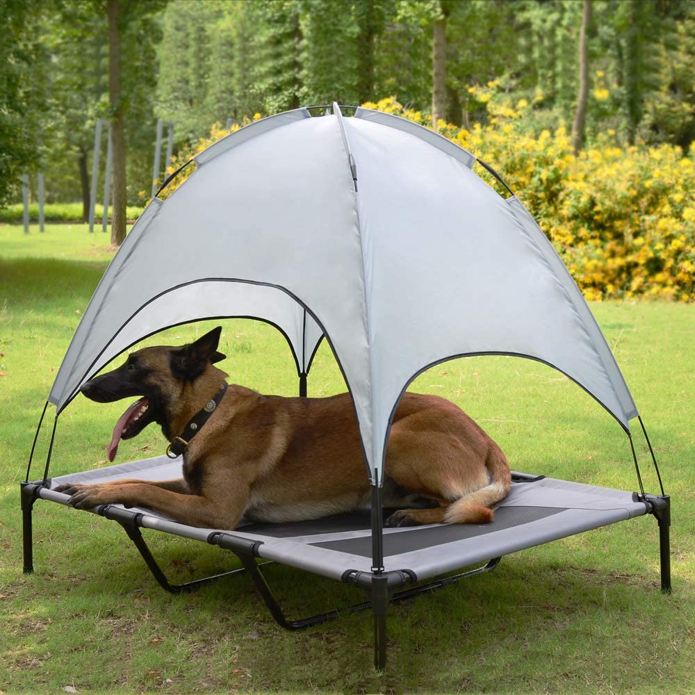 Elevated Dog Bed with Canopy! - Home of The Humble Warrior
