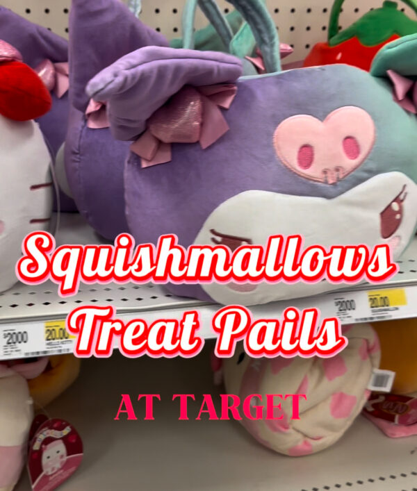 Squishmallows Treat Pails for Valentine’s Day!